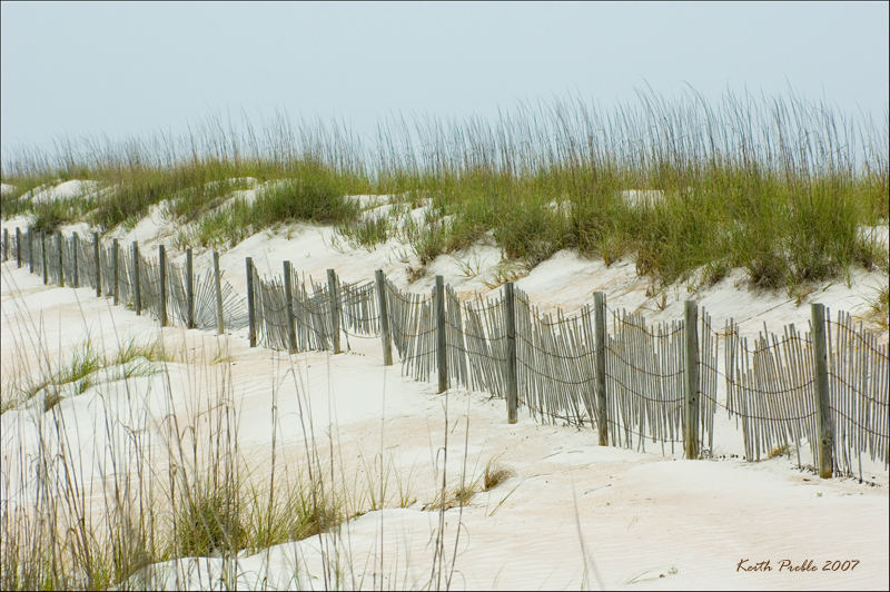 Florida Beach