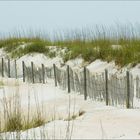 Florida Beach