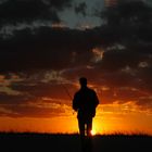 Florida Everglades Sunset