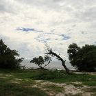 Florida Key´s "Ein Sturm zieht auf...."