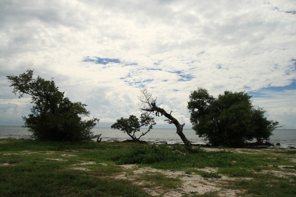 Florida Key´s "Ein Sturm zieht auf...." von Ch. Biscas