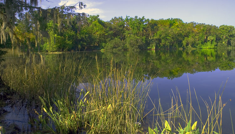 Florida Lakes