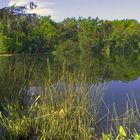 Florida Lakes