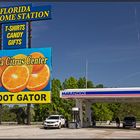 Florida | low-key advertisement |