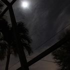Florida-Nacht