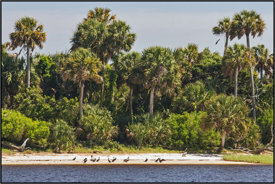 Florida | refuge |