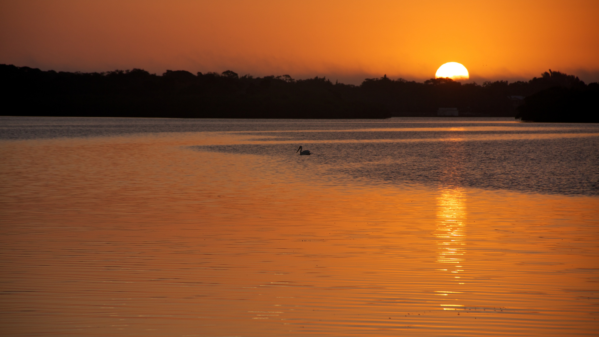 Florida Sunrise