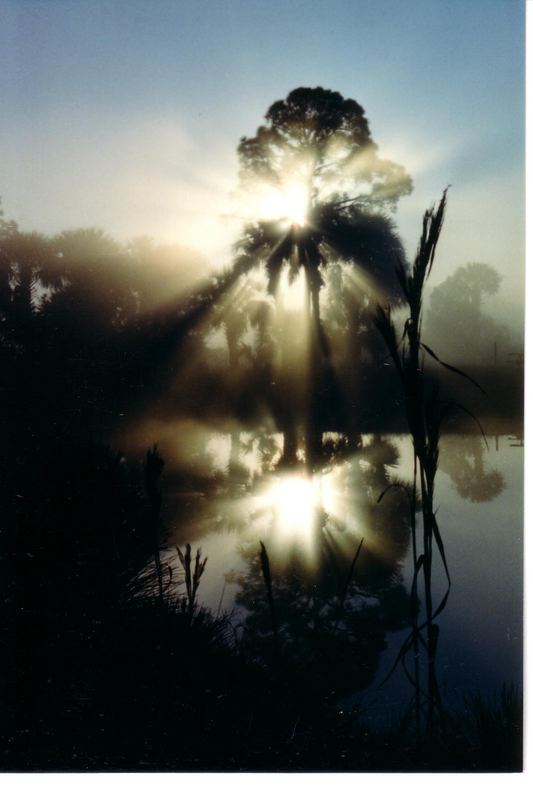 Florida Sunset