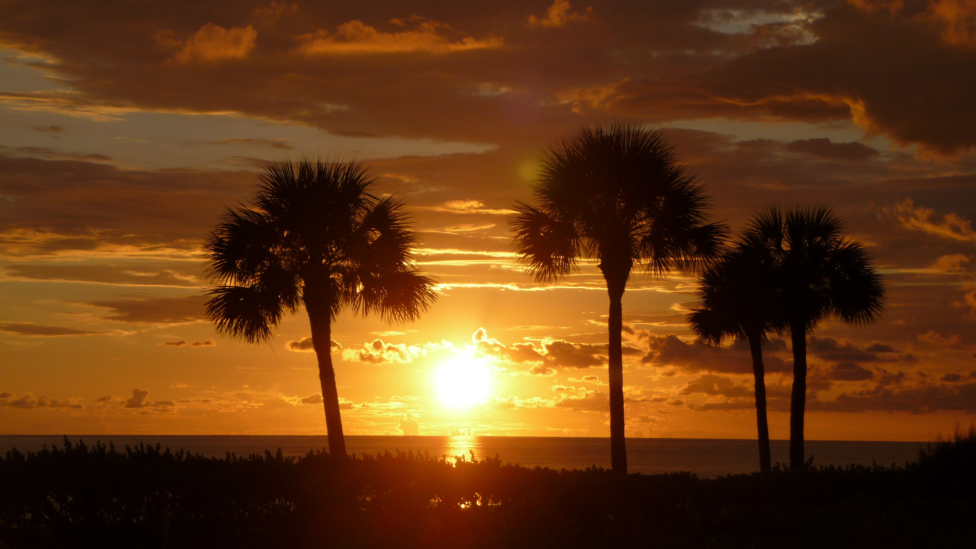 Florida sunset