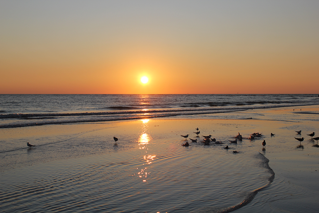 Florida Sunset