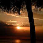 Florida Sunset