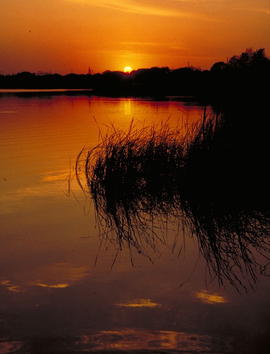 Florida Sunset....