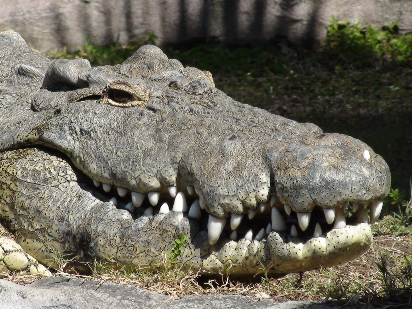 Floridas schönstes lächeln ?!