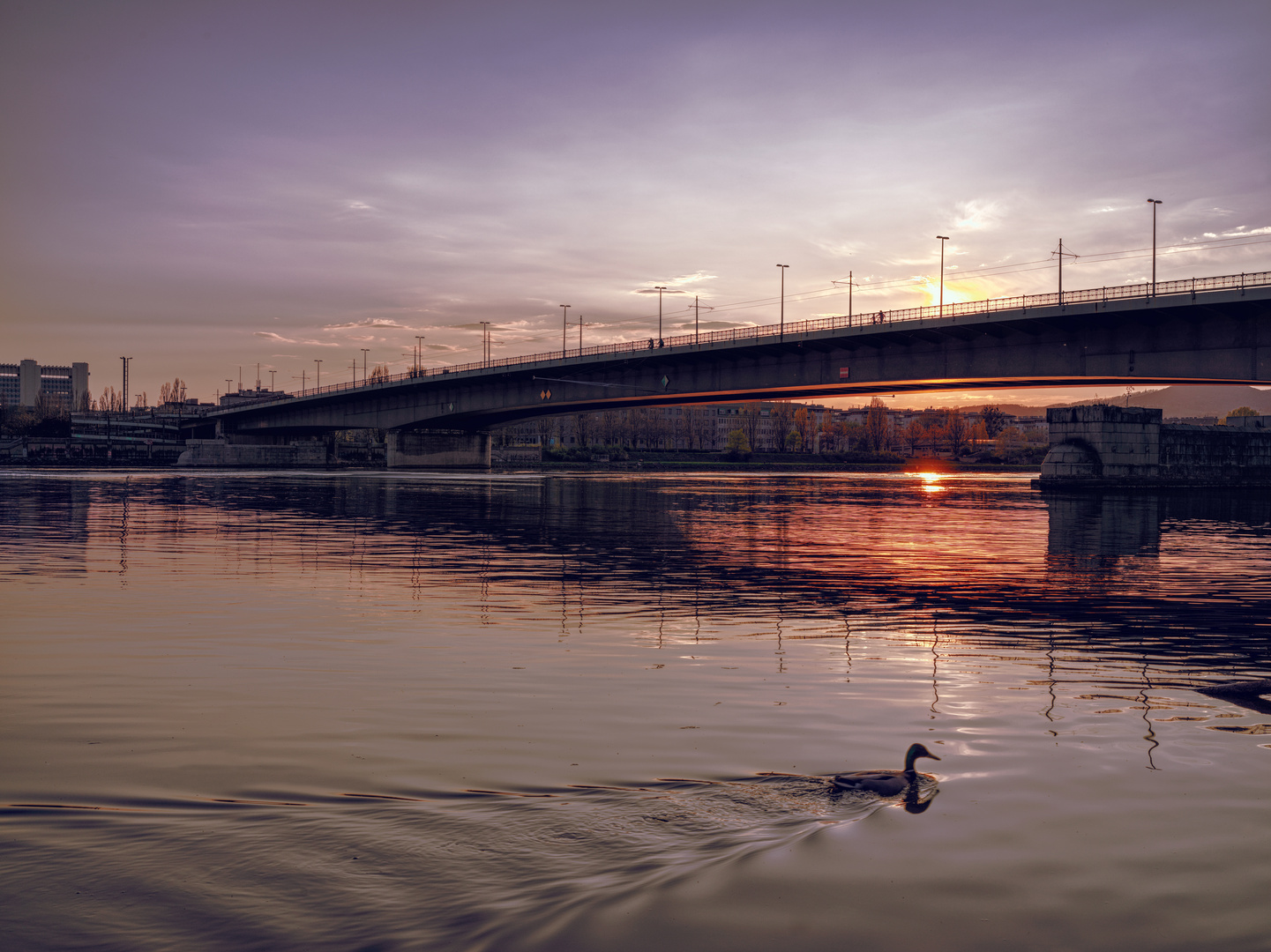 Floridsdorfer Brücke