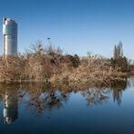 Floridsdorfer Wasserpark