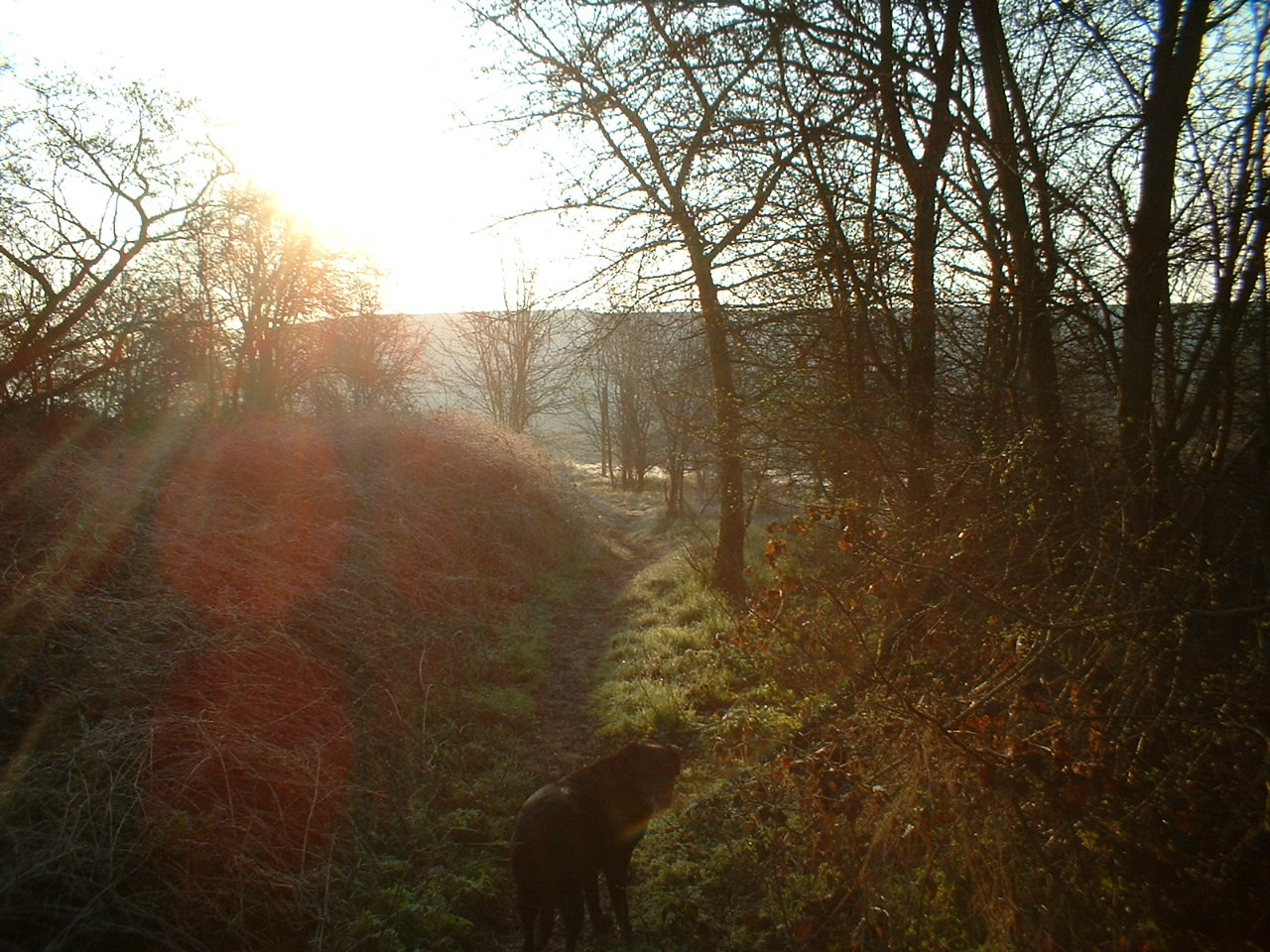 Floriffoux au petit matin