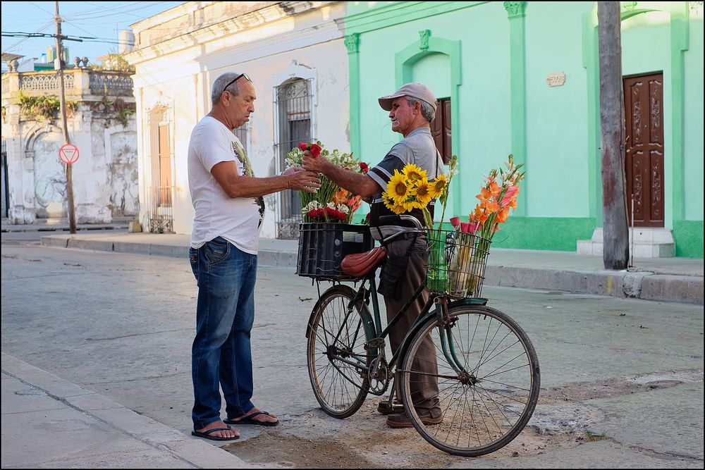 Florist