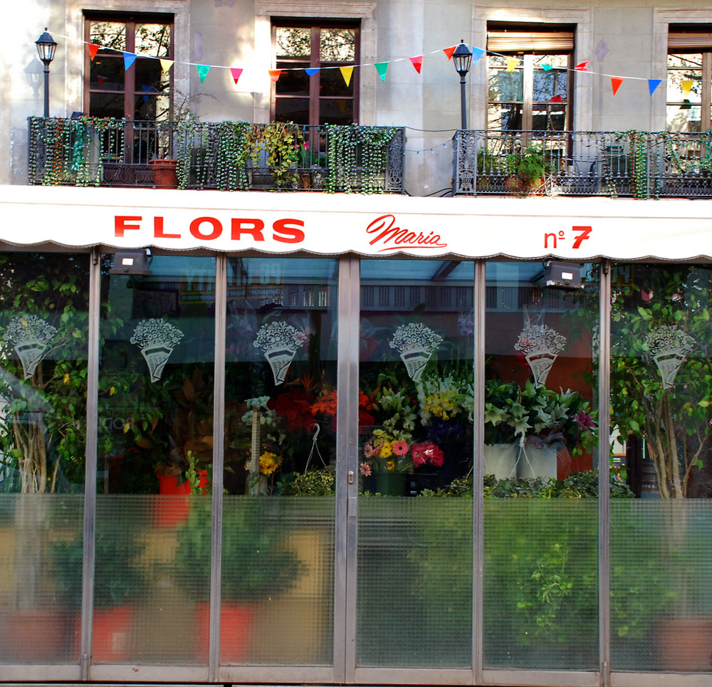 Flors Nr.:7