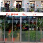 Flors Nr.:7