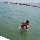 flotando en el agua