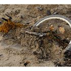 Flotsam or jetsam - Strandgut?