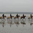 Flotte Begegnung auf dem Meeresgrund