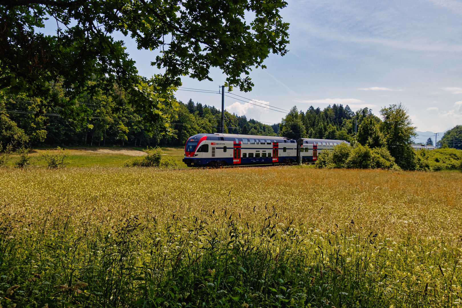 Flotte Fahrt durchs Ambitzgi Riet