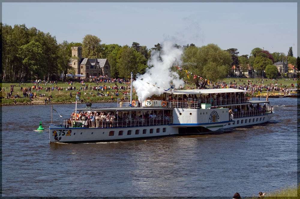 Flottenparade bei Pillnitz