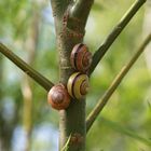 Flotter Dreier - und dann eingeschlafen....?