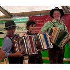 Flottes Trio beim Zeltfest