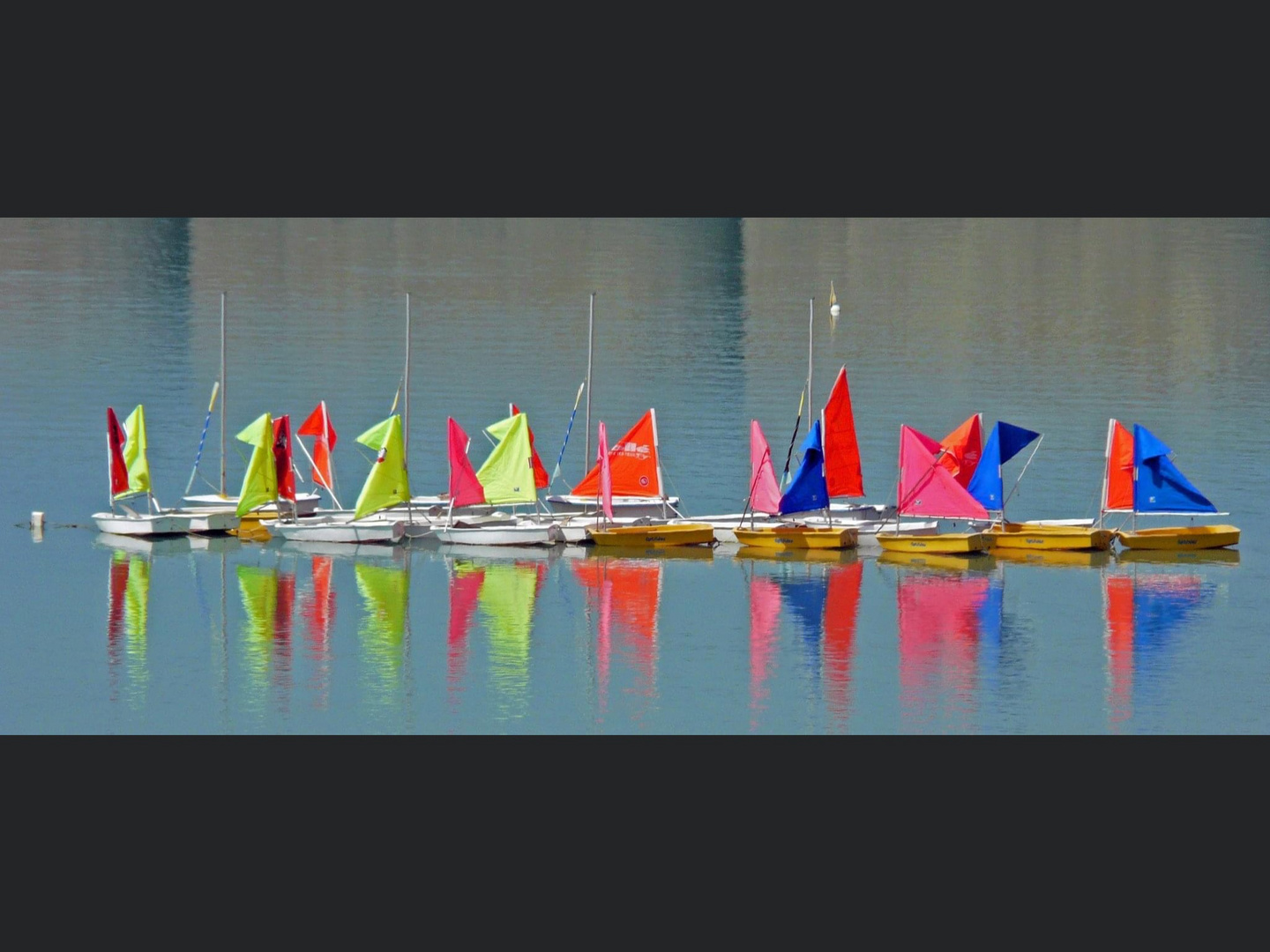 Flottille multicolore.