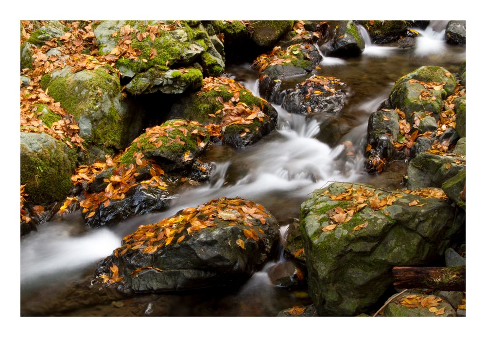 Flow at late autumn