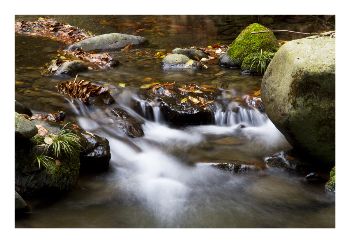 Flow at late autumn-II