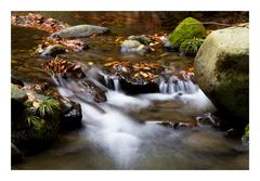 Flow at late autumn-II