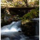 Flow in autumn-2