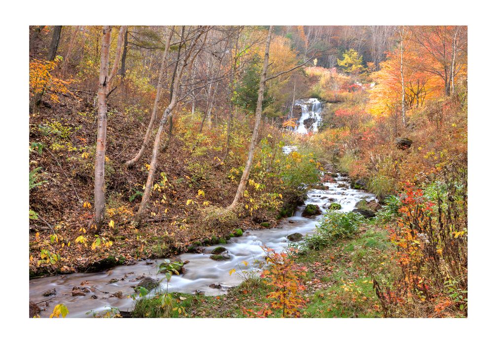 Flow in the fall