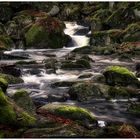 flow through the Harz Mountains