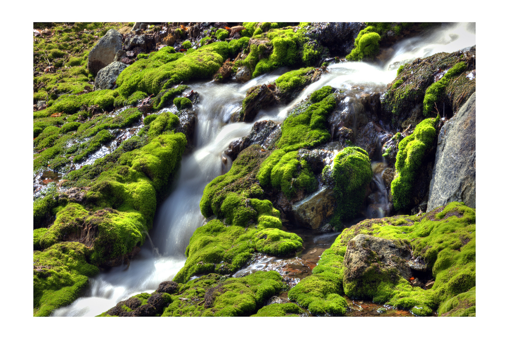 Flow with a moss II