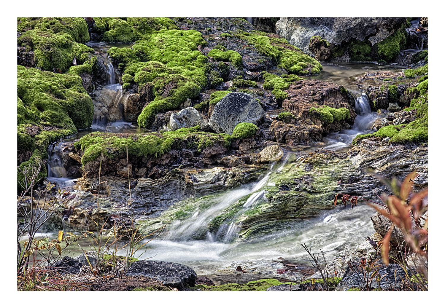 Flow with a moss III