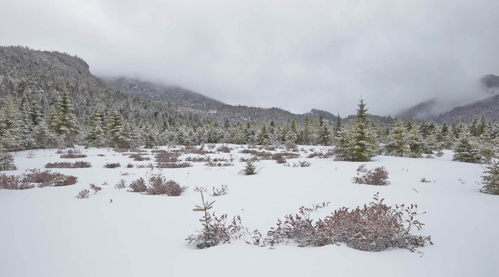 Flowed Lands, Adirondack Mountains