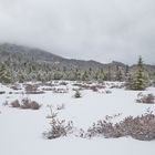 Flowed Lands, Adirondack Mountains