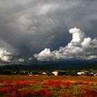 Flower and Cloud