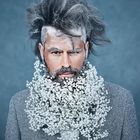 FLOWER BEARD