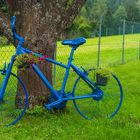 Flower bike