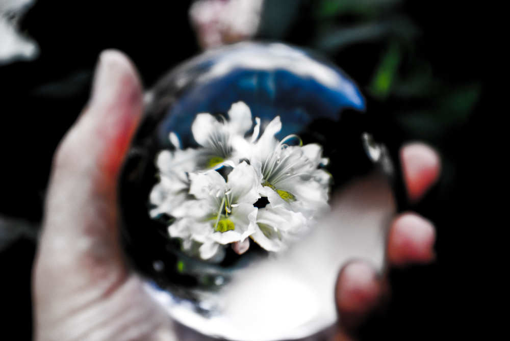 flower-bowl