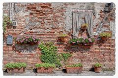 "Flower Bricks"