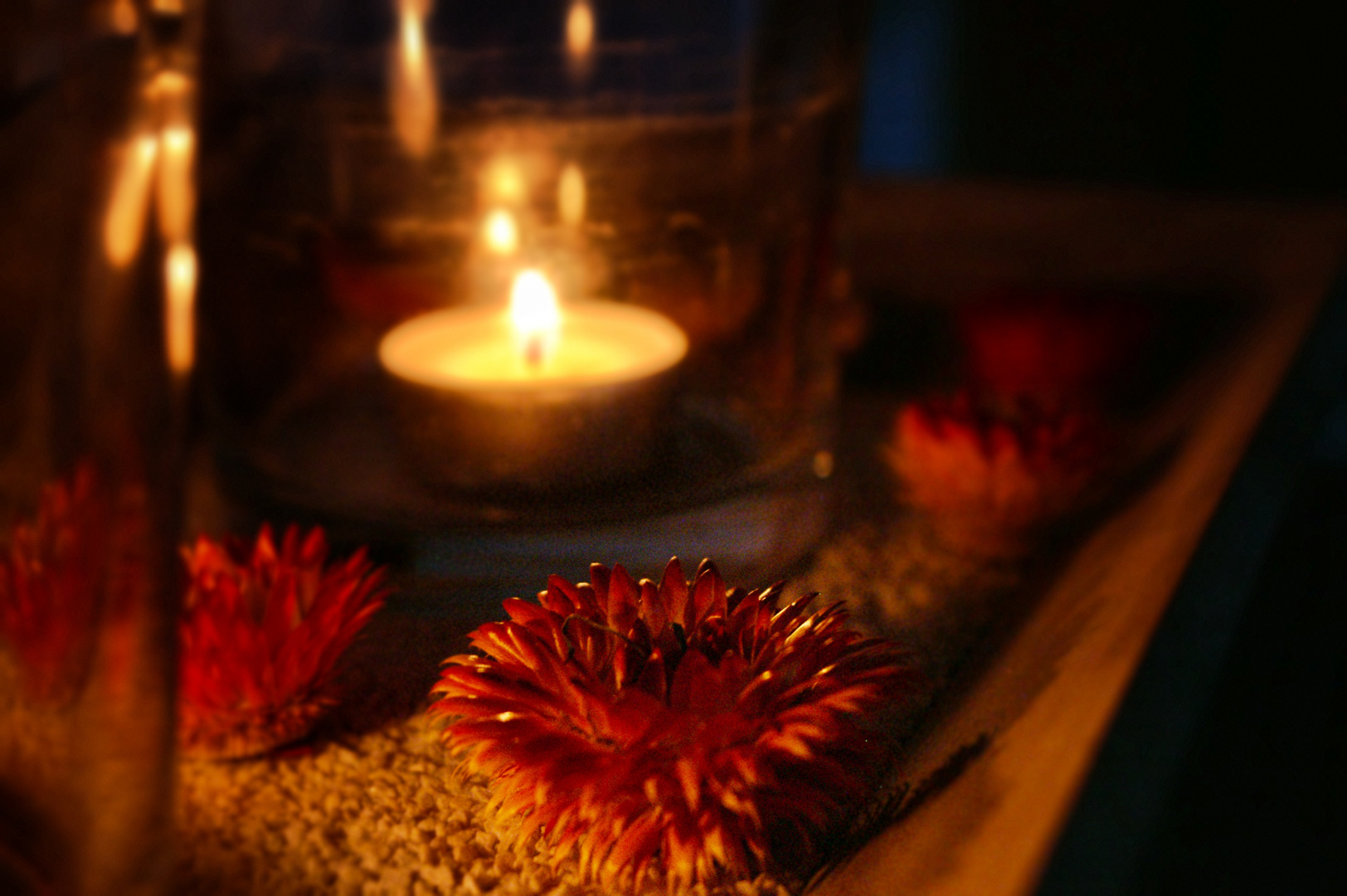 flower candle 