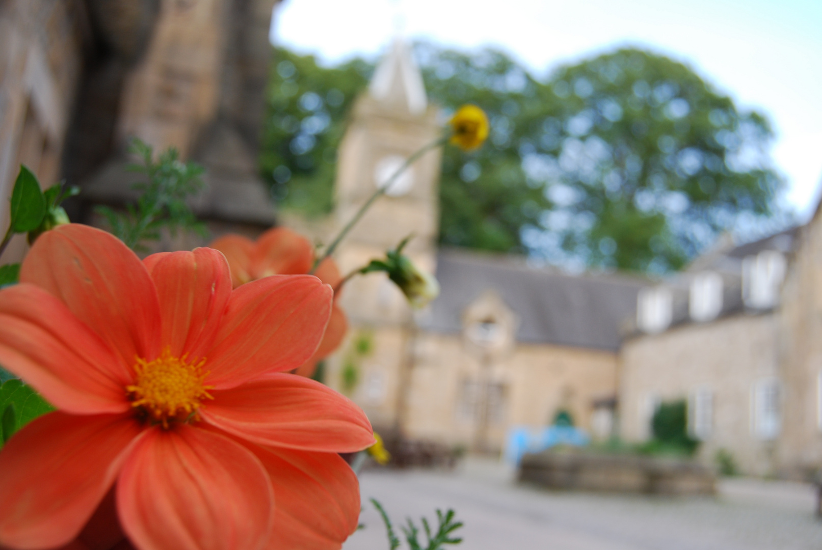 Flower Clock tower