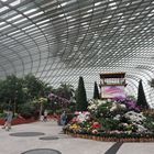 Flower Dome Singapore