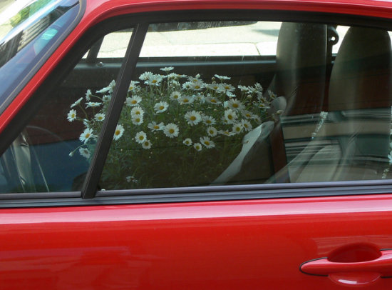Flower Driver